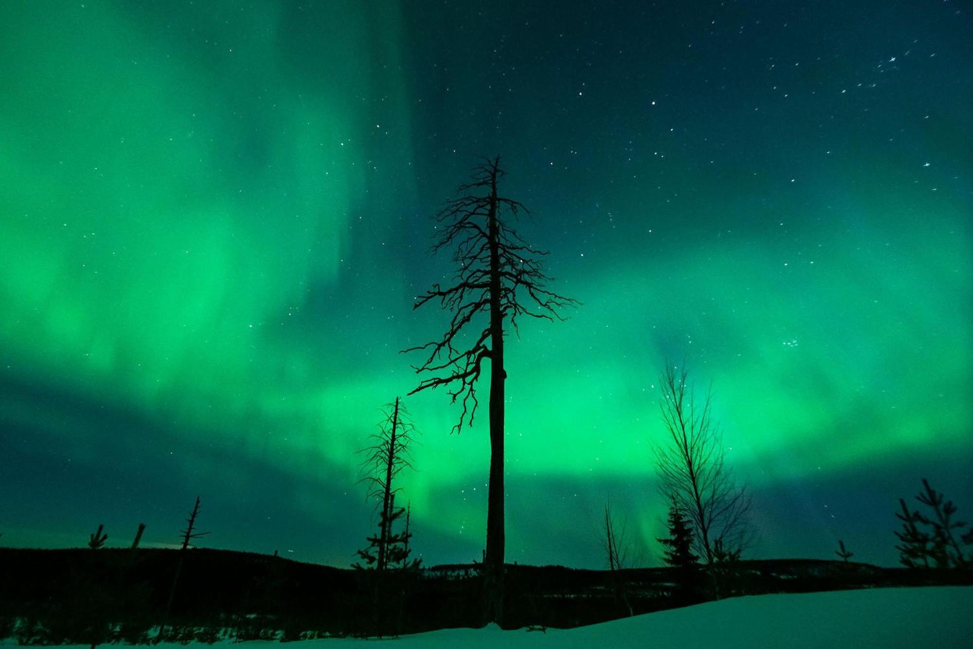 Napapiirin Jaervilomat Hotel Luukonniemi Luaran gambar