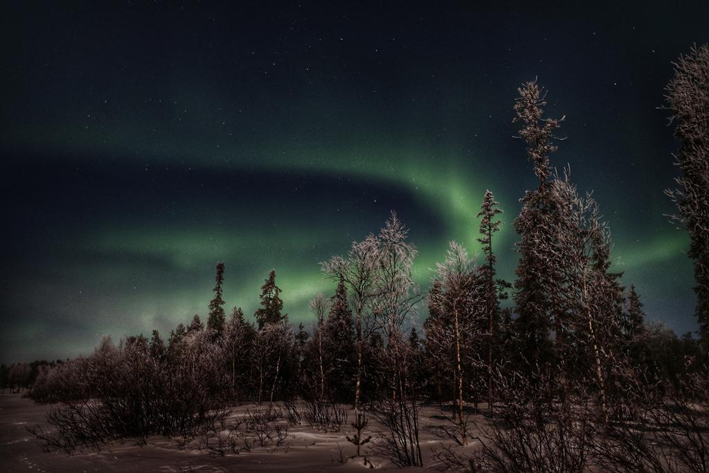 Napapiirin Jaervilomat Hotel Luukonniemi Luaran gambar